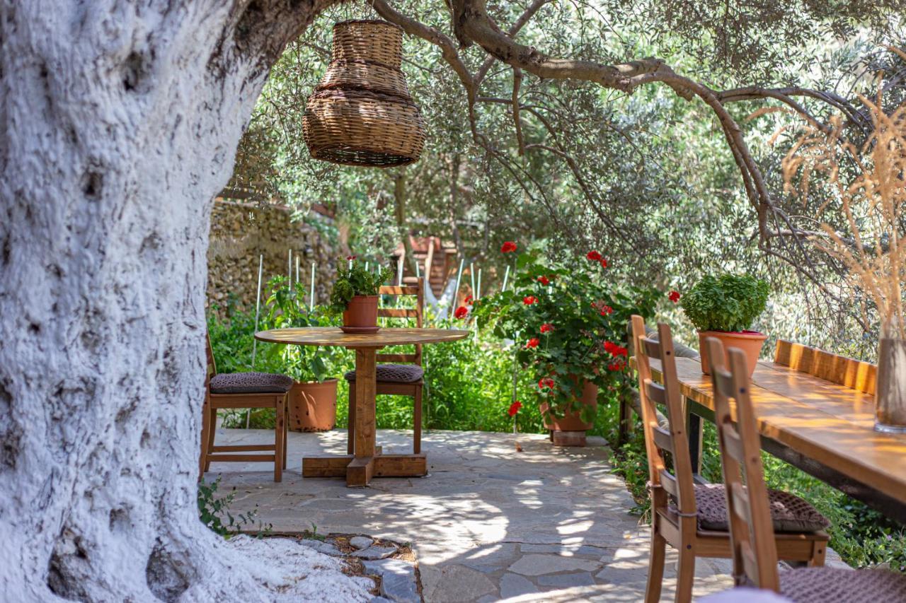 Small Paradise Andros Town Exterior photo